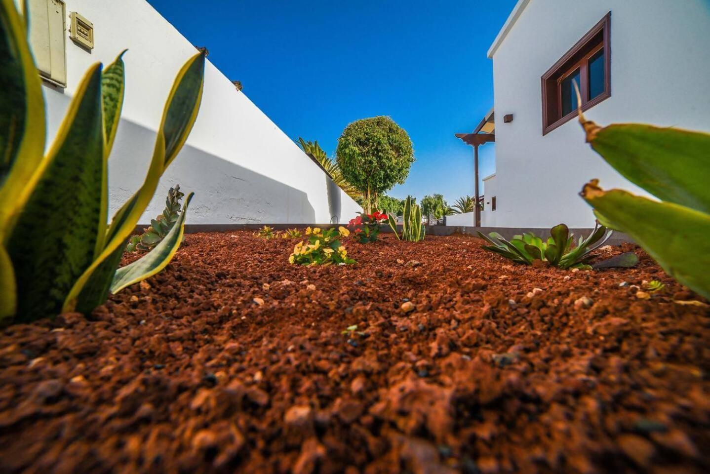 Agradable Y Familiar Con Piscina Casa Inima Playa Blanca (Lanzarote) Exterior foto